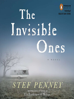 cover image of The Invisible Ones